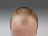 shutterstock_156303176.jpg