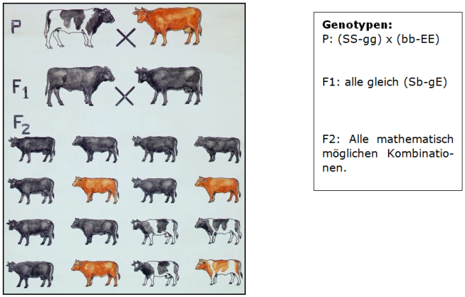 abb33.png