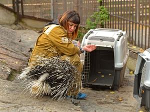 Popova Valeriya Shutterstock.jpg