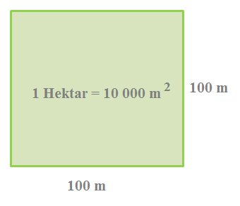 Hektar.png