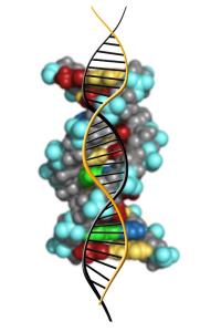 deoxyribonucleic-acid-1500071_960_720.jpg