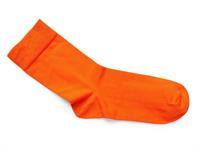 Shutterstock_2206303185 (1).jpg