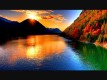 Mohid Gogar