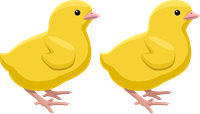 YCAT_230330_2 chicks.png