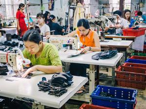 catastrophe_OL Shutterstock.jpg