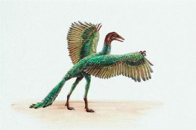 focus_archaeopteryx.jpg