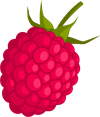 YCAT_230330_raspberry.png